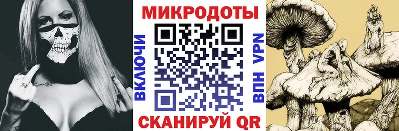 Галлюциногенные грибы Psilocybine cubensis  Хадыженск 